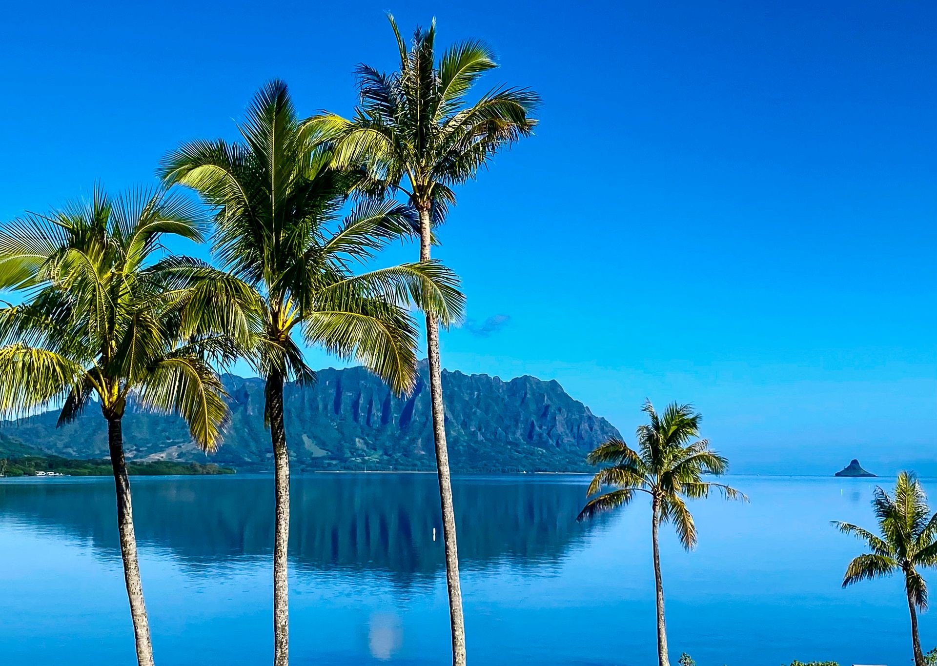 Contact North Shore Ohana Shuttle – Book Your Ride Today
